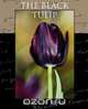 The Black Tulip, Alexandre Dumas 