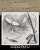 Social Life in the Insect World, J. H. Fabre 