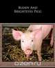 Buddy And Brighteyes Pigg, Howard R. Garis 