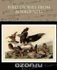 Bird Stories from Burroughs, John Burroughs 
