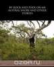 By Rock and Pool on an Austral Shore and Other Stories, Louis Becke 