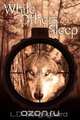 While Others Sleep, L. D. Bergsgaard 