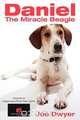 Daniel The Miracle Beagle, Joe Dwyer 