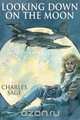 Looking Down on the Moon, Charles Sage 