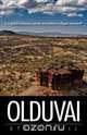 Olduvai, Steve Bull 
