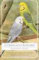 Is It Budgie or Is It Budget-Bird?, Wayne Clark Kahlan 