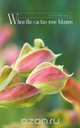 When the Cactus Rose Blooms, Jr. Val Villarreal 