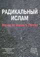 Радикальный ислам. Взгляд из Индии и России, С. Е. Кургинян 
