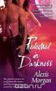 Redeemed in Darkness, Alexis Morgan 