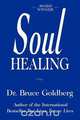 Soul Healing, Bruce Goldberg 