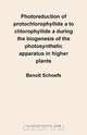 Photoreduction of Protochlorophyllide A to Chlorophyllide a During the Biogenesis of the Photosynthetic Apparatus in Higher Plants, Benoit Schoefs 