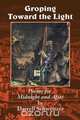 Groping Toward the Light, Darrell Schweitzer 