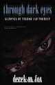 Through Dark Eyes, Derek M. Fox 