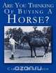 Are You Thinking Of Buying A Horse?, Carol J. Donaldson 