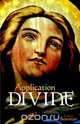 Application Divine, Linna Bowman 