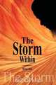 The Storm Within, Romi Jain 