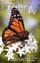 Flutter by, Rev. Eleanor Ditrick 