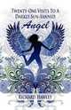 Twenty-One Visits to a Darkly Sun-Tanned Angel, Richard Hawley 