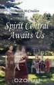 Spirit Central Awaits Us, Judith McCrodden 