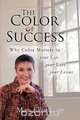 The Color of Success, Mary Ellen Lapp 