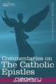 Commentaries on the Catholic Epistles, John Calvin 