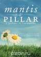 Mantis and Pillar, Lisa Shoemaker 