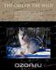 The Call of the Wild, Jack London 