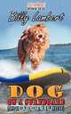 Dog on a Surfboard, Billy Lambert 
