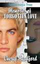 Memories of a Forgotten Love, Cheryl Headford 