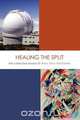 Healing the Split, Marc Elihu Hofstadter 