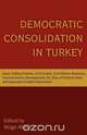 Democratic Consolidation in Turkey, 