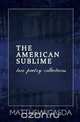 The American Sublime, Matthew Gasda 