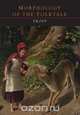 Morphology of the Folktale, V. Propp 
