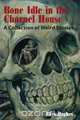 Bone Idle in the Charnel House, Rhys Hughes 