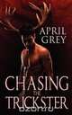 Chasing the Trickster, April Grey 