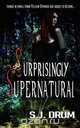 Surprisingly Supernatural, S. J. Drum 