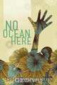 No Ocean Here, Sweta Srivastava Vikram 