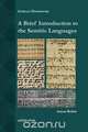 A Brief Introduction to the Semitic Languages, Aaron D. Rubin 