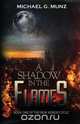 A Shadow in the Flames, Michael G. Munz 