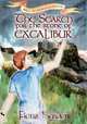 The Search for the Stone of Excalibur, Fiona Ingram 