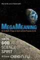 Megameaning, William J. Berndt 