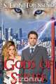 Gods of Strife, S. Evan Townsend 