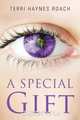 A Special Gift, Terri Haynes Roach 