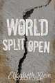 World Split Open, Elisabeth Klein 