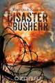 Disaster at Bushehr, Reginald Nelson 