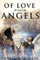 Of Love and Angels, Daniel McMillen 
