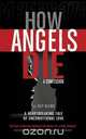 How Angels Die, Guy Blews 