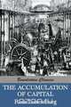 The Accumulation of Capital, Rosa Luxemburg 