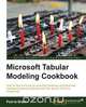 SQL Server and Power Pivot - Tabular Modeling Cookbook, Paul Te Braak 