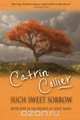 Such Sweet Sorrow, Catrin Collier 